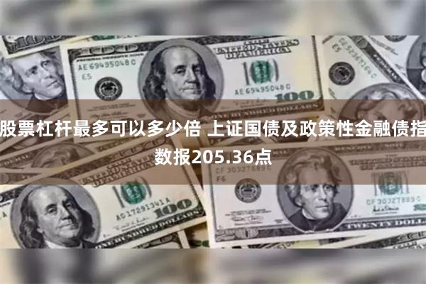 股票杠杆最多可以多少倍 上证国债及政策性金融债指数报205.36点