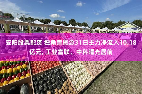 安阳股票配资 独角兽概念31日主力净流入10.18亿元, 工业富联、中科曙光居前