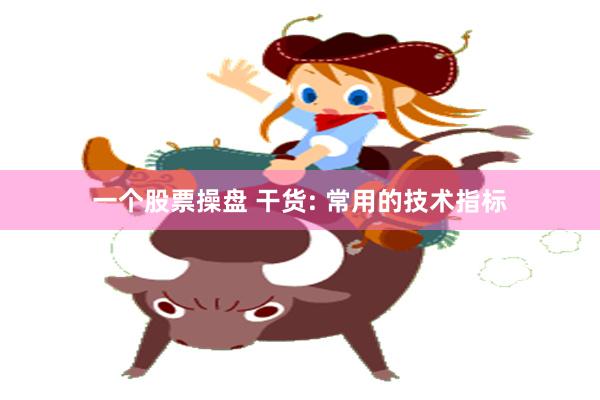 一个股票操盘 干货: 常用的技术指标