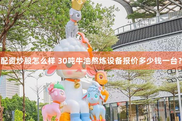 配资炒股怎么样 30吨牛油熬炼设备报价多少钱一台？