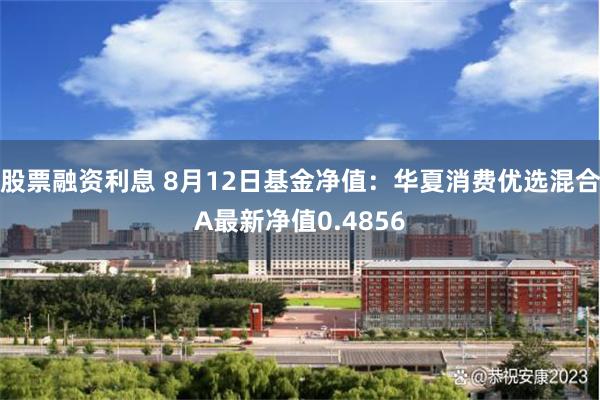 股票融资利息 8月12日基金净值：华夏消费优选混合A最新净值0.4856