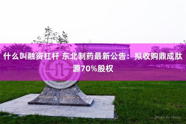 什么叫融资杠杆 东北制药最新公告：拟收购鼎成肽源70%股权