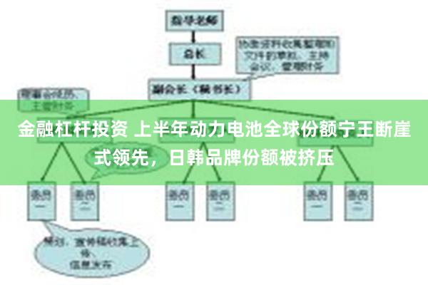 金融杠杆投资 上半年动力电池全球份额宁王断崖式领先，日韩品牌份额被挤压