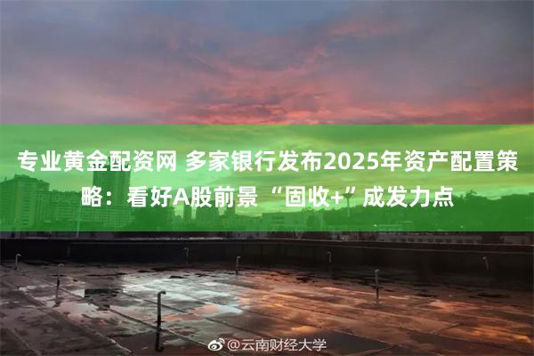 专业黄金配资网 多家银行发布2025年资产配置策略：看好A股前景 “固收+”成发力点