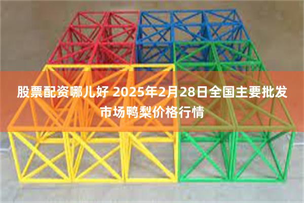 股票配资哪儿好 2025年2月28日全国主要批发市场鸭梨价格行情