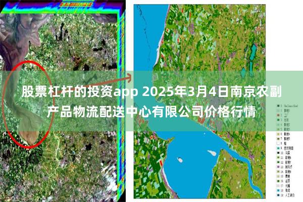 股票杠杆的投资app 2025年3月4日南京农副产品物流配送中心有限公司价格行情